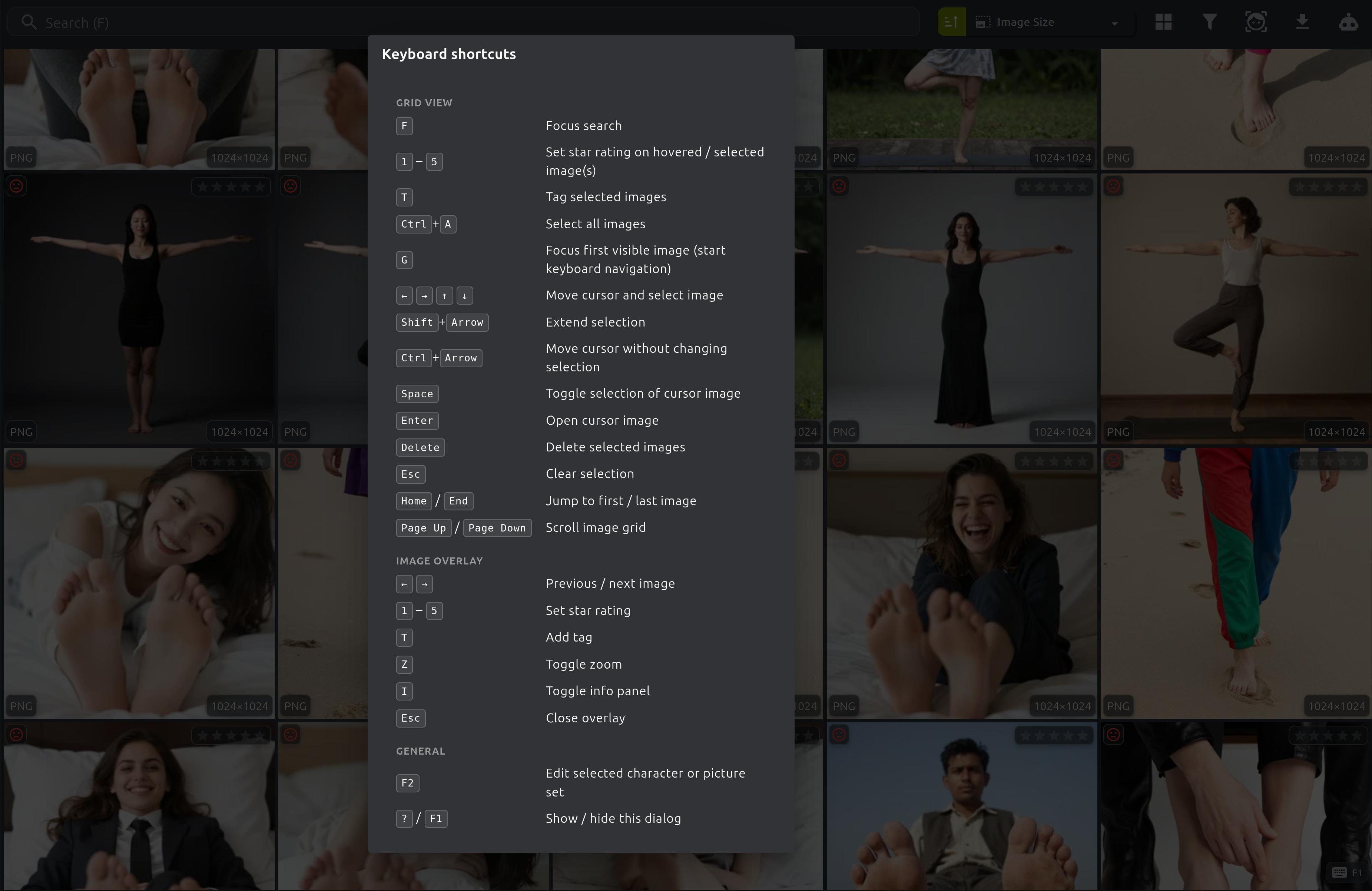 PixlStash keyboard shortcuts view