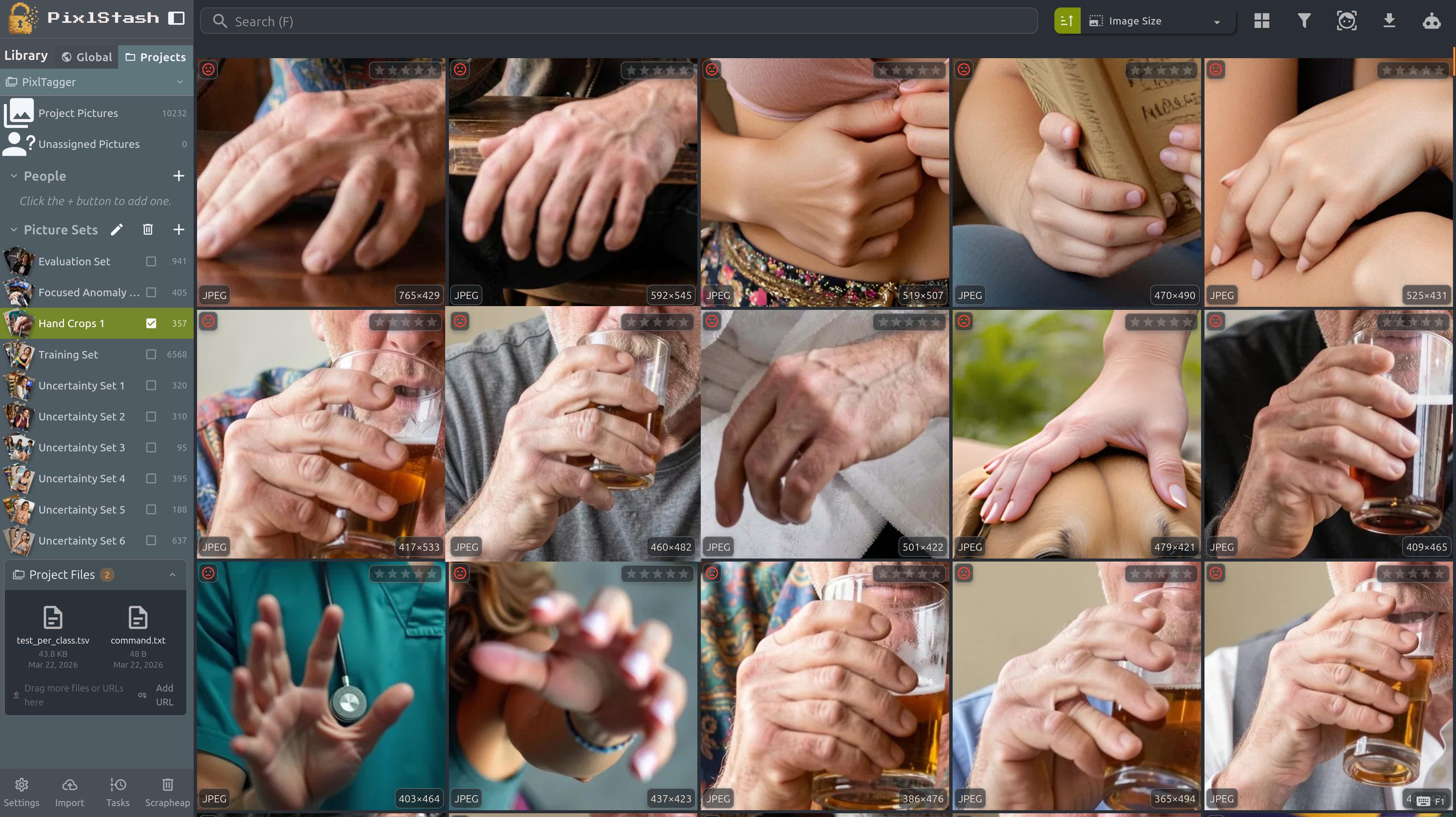 PixlStash project organisation view