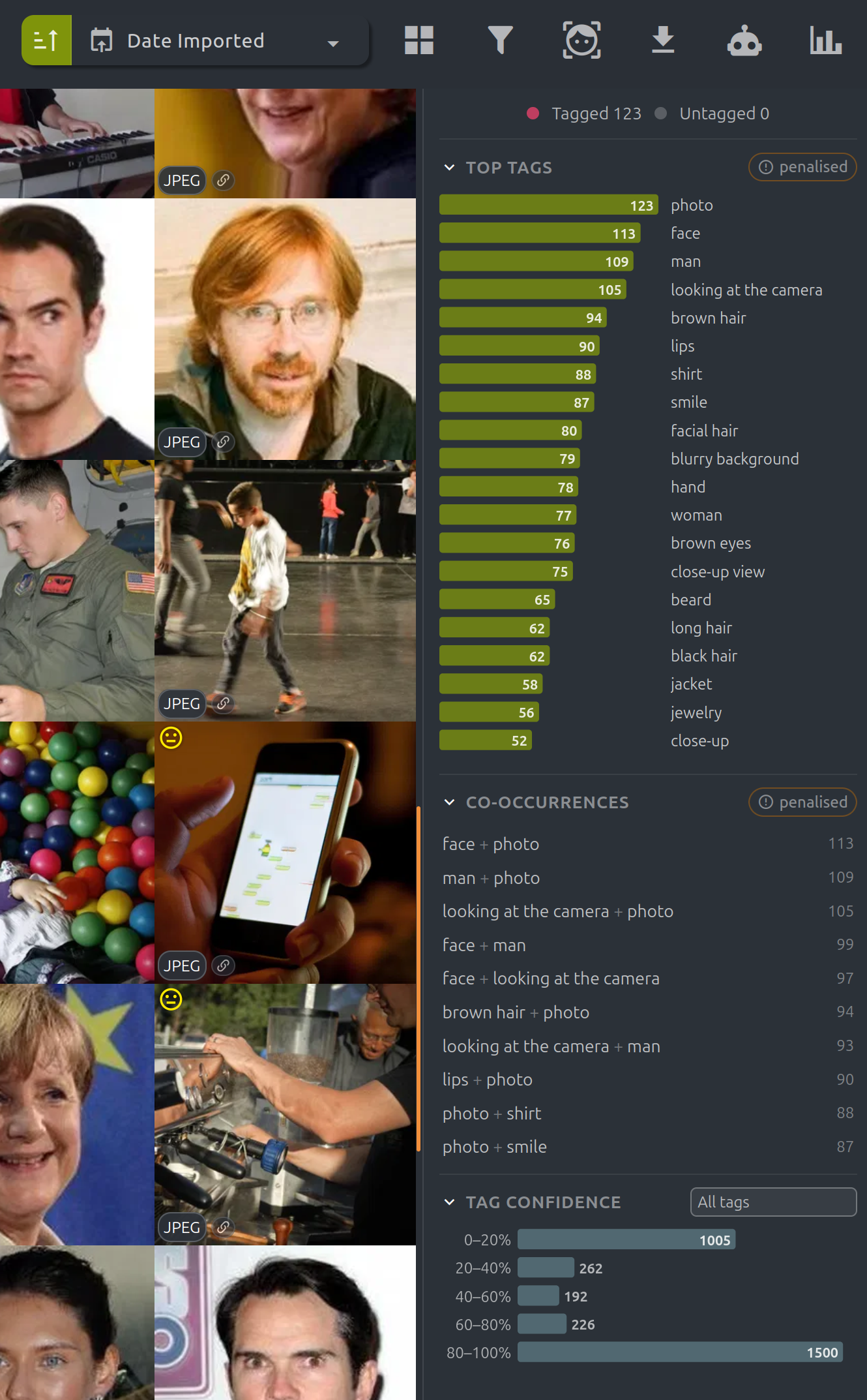 Tag distribution and confidence statistics sidebar in PixlStash